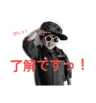 military boy（個別スタンプ：1）