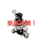 military boy（個別スタンプ：6）