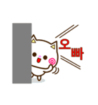 Go！ Go！ 白ネコ☆スタンプ（韓国語）（個別スタンプ：1）