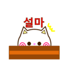 Go！ Go！ 白ネコ☆スタンプ（韓国語）（個別スタンプ：5）