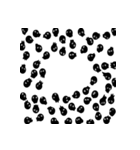 Carbon cell division（個別スタンプ：12）