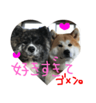 akitas family（個別スタンプ：6）