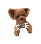 愛犬ちるの1日（個別スタンプ：20）