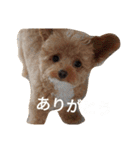 愛犬ちるの1日（個別スタンプ：24）