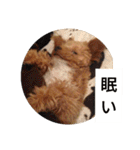 愛犬ちるの1日（個別スタンプ：30）