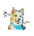 それいけ保護犬②（個別スタンプ：3）
