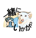それいけ保護犬②（個別スタンプ：16）