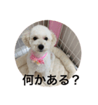 kanacoco（個別スタンプ：3）