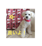 kanacoco（個別スタンプ：5）