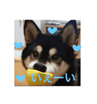 kanacoco（個別スタンプ：6）