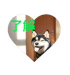kanacoco（個別スタンプ：8）