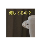 kanacoco（個別スタンプ：11）