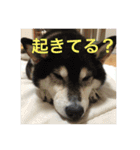 kanacoco（個別スタンプ：16）