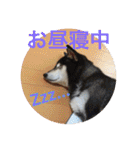 kanacoco（個別スタンプ：18）