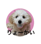 kanacoco（個別スタンプ：19）