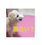 kanacoco（個別スタンプ：23）