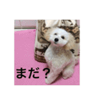 kanacoco（個別スタンプ：27）
