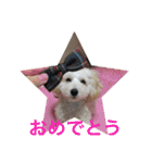 kanacoco（個別スタンプ：34）
