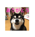 kanacoco（個別スタンプ：40）
