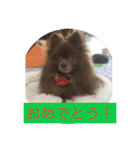 coco＆palu（個別スタンプ：8）