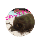coco＆palu（個別スタンプ：9）