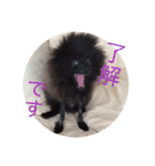 coco＆palu（個別スタンプ：10）