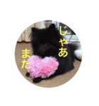 coco＆palu（個別スタンプ：18）