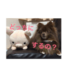 coco＆palu（個別スタンプ：23）