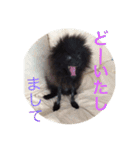 coco＆palu（個別スタンプ：24）