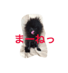 coco＆palu（個別スタンプ：25）