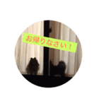 coco＆palu（個別スタンプ：32）