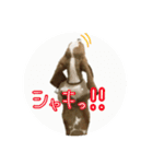 バセットハウンドレオンくんの日常2（個別スタンプ：16）