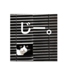 猫のおにゅ（個別スタンプ：9）