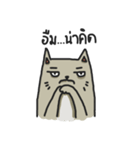 Boring Grey Cat（個別スタンプ：10）