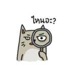 Boring Grey Cat（個別スタンプ：17）