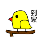 small yellow brother（個別スタンプ：8）