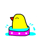 small yellow brother（個別スタンプ：37）