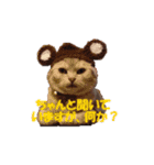 ねこちゃんのStamp（個別スタンプ：10）