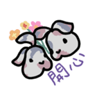 Patchwork bunny（個別スタンプ：5）