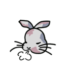 Patchwork bunny（個別スタンプ：8）