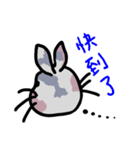 Patchwork bunny（個別スタンプ：11）