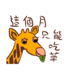 Stupid animals from Taiwan（個別スタンプ：8）