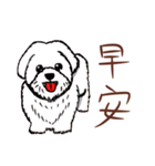 Stupid animals from Taiwan（個別スタンプ：18）