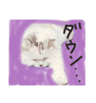 うちのねこさん4（個別スタンプ：4）