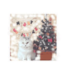 うちのねこさん4（個別スタンプ：10）