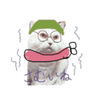 うちのねこさん4（個別スタンプ：11）