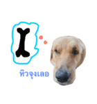 SABIANDOG（個別スタンプ：4）