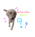 SABIANDOG（個別スタンプ：10）