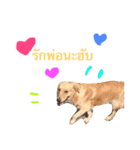 SABIANDOG（個別スタンプ：14）