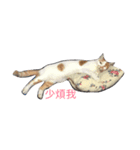 Fi＆Li Life1（個別スタンプ：8）
